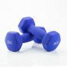 2 kg et 4 kg de poids de poids chaque JOCCA