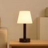 RECHARGEABLE LED DESK LAMP WITH DARK WOOD BASE – 3 TONES