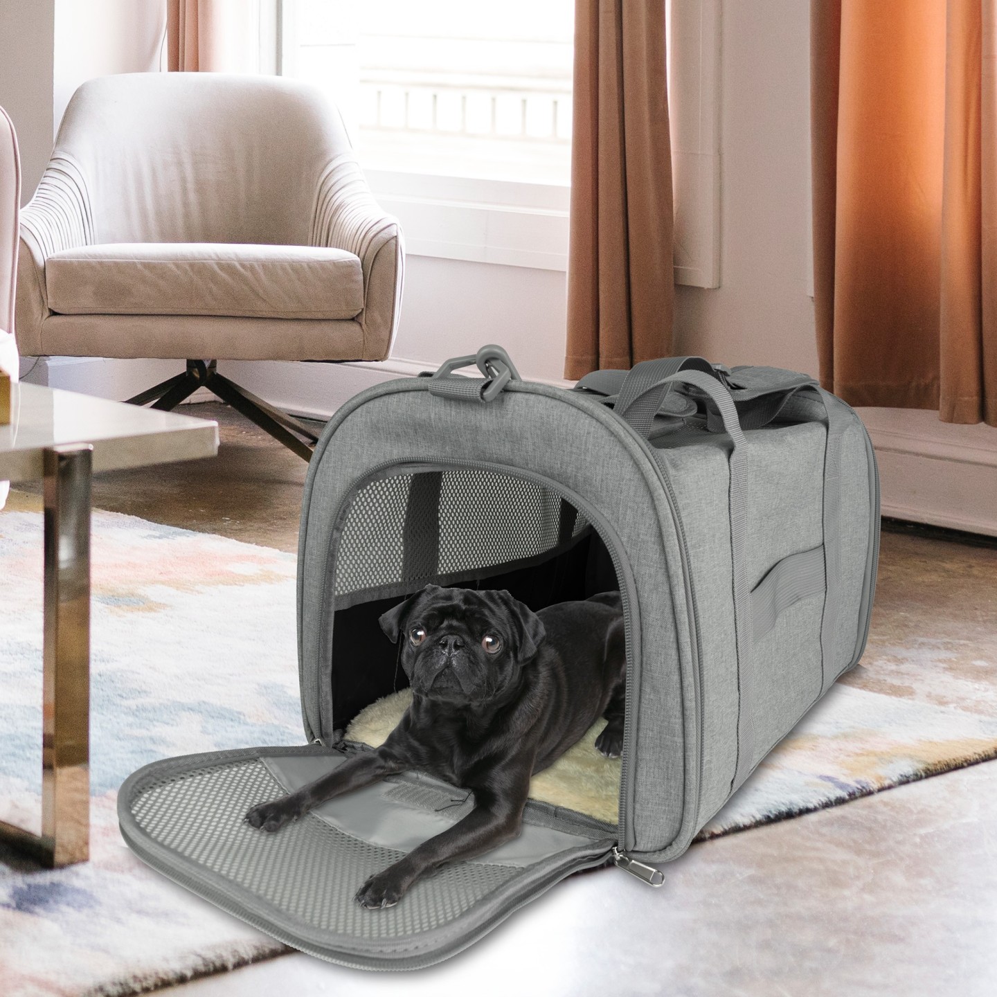 Pet Cariageway jocca
