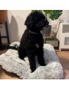 Cama de cabelo retangular jocca para animais de estimação