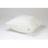 ▷ Sofa cushion: set of two cushions duvet Jocca